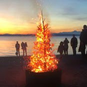 Erin Fried's photo