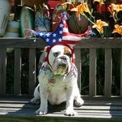 Sandi Bohnsack's photo