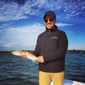Tom Peal's photo
