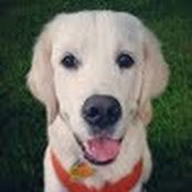Allison Bitterman's photo