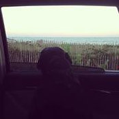 Allison Lancaster's photo