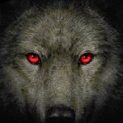 David Hundley's photo