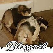 Kayla Welsh's photo