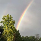 Polly Goodwin's photo