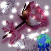 Linda Brown's photo