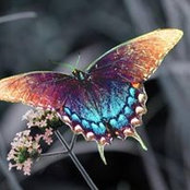 Jennifer Catuara's photo