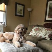 Susan Rodriguez's photo