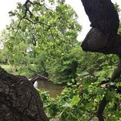 April Culbertson's photo