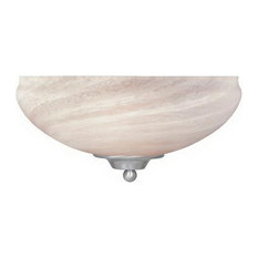 Satin Platinum and French Swirl Alabaster Glass Wall Fixture