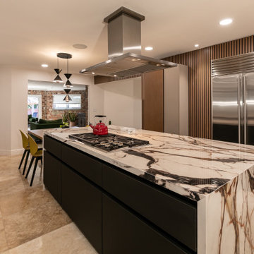 Irresistible Wood Panel Contemporary Kitchen