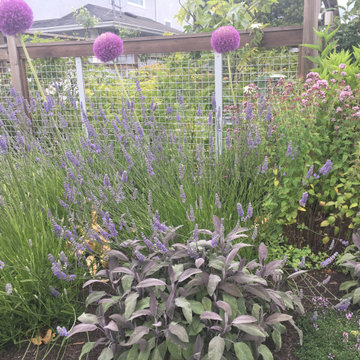 Crescent Food and Medicine Garden