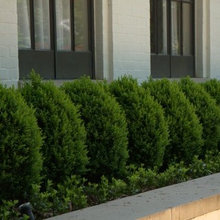 Landscape design