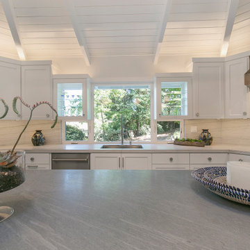 Alamo Single-Wall Contemporary Kitchen Remodel