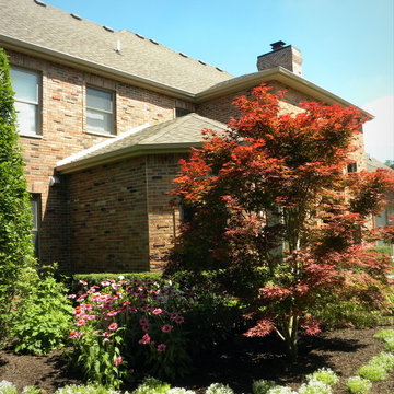 Complete Landscaping & Hardscaping Transformation