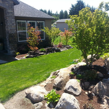 HOUZZ SUCCESS-STORY! PLANT BARE-ROOT TREES & SHRUBS IN BEST LANDSCAPE MAKEOVERS