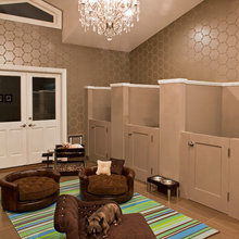 dog houses