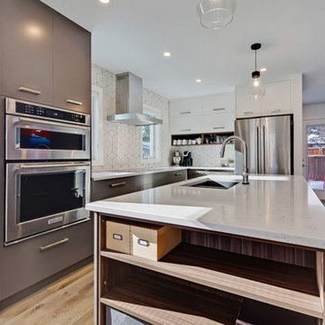 Full Home Renovation & Addition