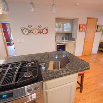 Gourmet Galley Kitchen Remodel