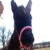 Jessica Hershey's photo
