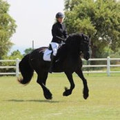 Lisa Bontekoning's photo