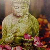 Nadine Schwartz's photo