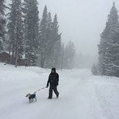 Michael Chang's photo