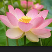 Jenni Janssen's photo