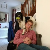 Craig Taylor's photo