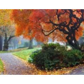 Christine Lessard's photo