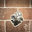 Mark Forlenzo Tile