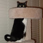 Winifred Gilmore's photo