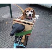 Daniel Bursztyn's photo