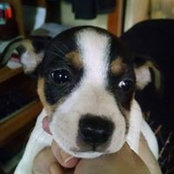 Sharon Hill's photo