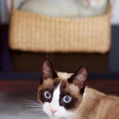 Anna Nevidoma's photo