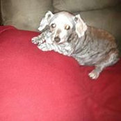 Alan Jones's photo