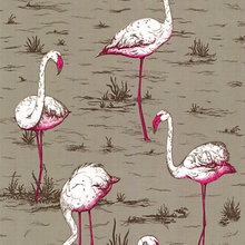 Flamingo Inspired - Tropical Paradise