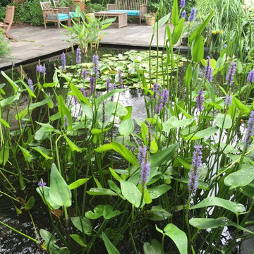 Half-Acre Garden in Towson, MD