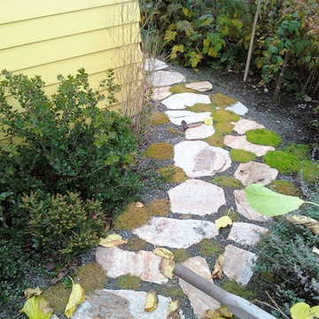 Northwest Contemporary Yard - Green Lake, Seattle
