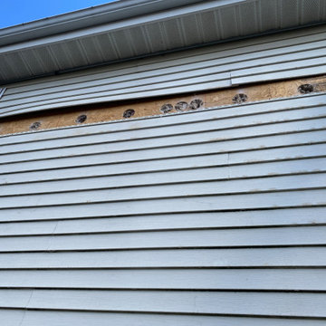 Exterior Wall Blown-In Insulation