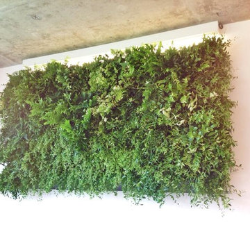 Vertical Gardens