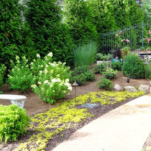 Balmoral Backyard