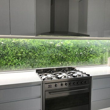 Kitchen and Entertaining Area Green Wall