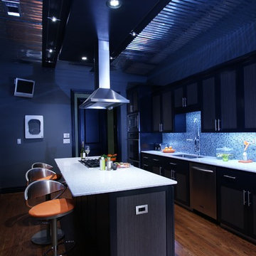 Contemporary Condo Renovation