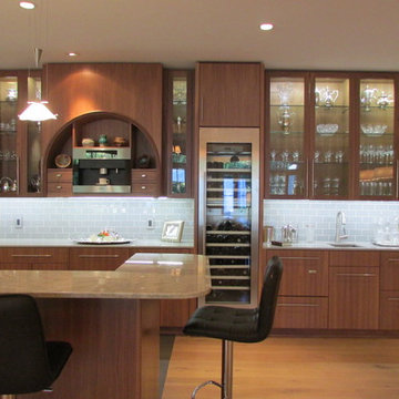 Contemporary Remodel