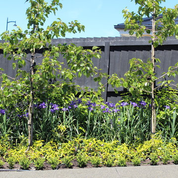 Christchurch residential project