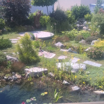 natural pond, Teichlandschaft