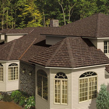 Roof shingles