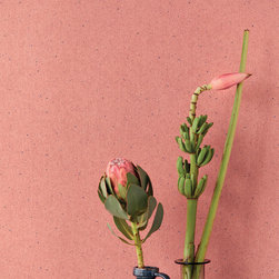 Vivid Wallpaper Collection - Wallpaper