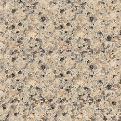 QUARTZ COUNTER TOP AND FLOOR - Kitchen Countertops