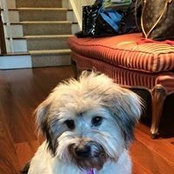 Tracey Sarn's photo
